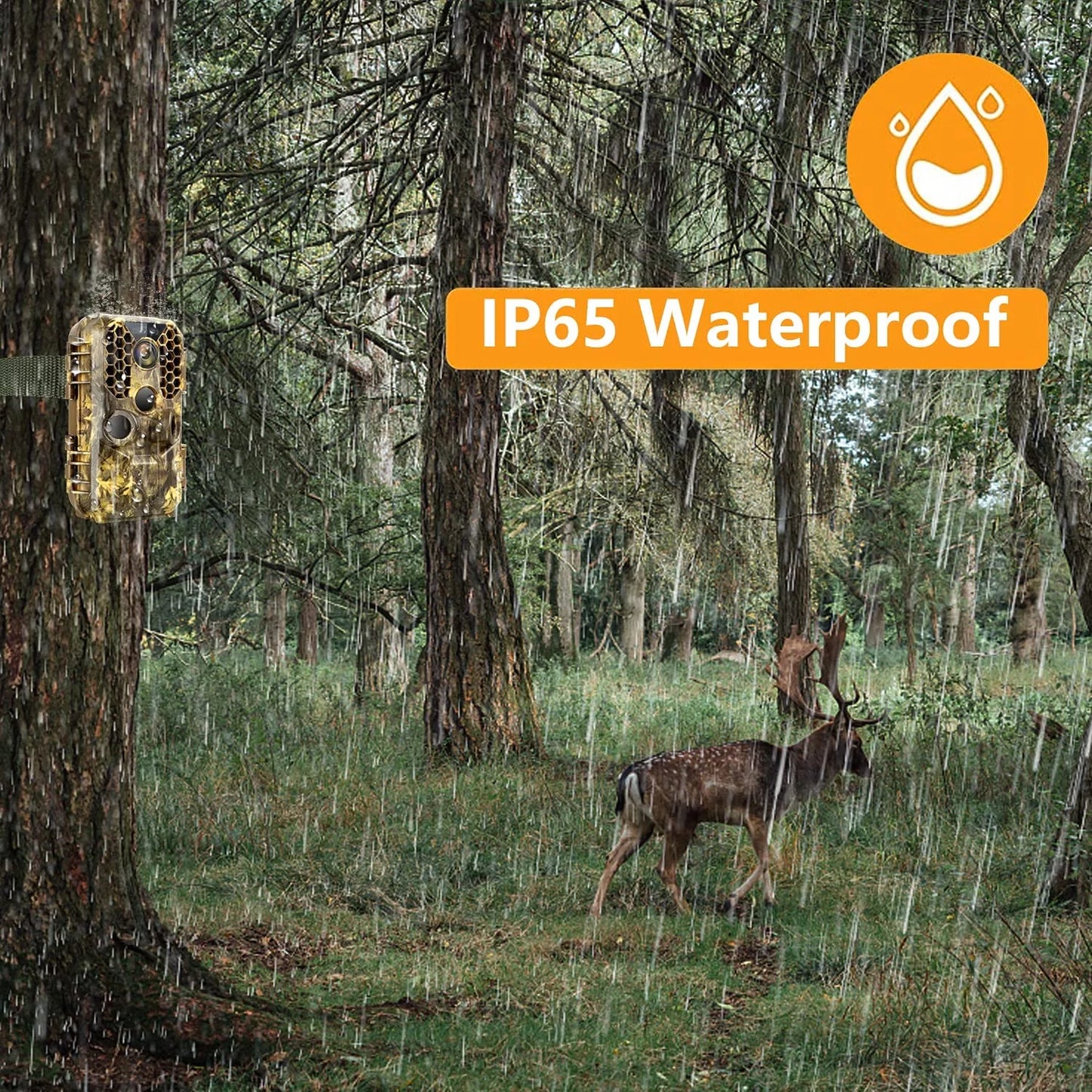 Wireless WiFi Game & Trail Camera 30MP Photo Real 4K Video Night Vision Motion Activated Waterproof Time Lapse Wildlife Hunting & Home Security, View Picture & Video on Cell Phone
