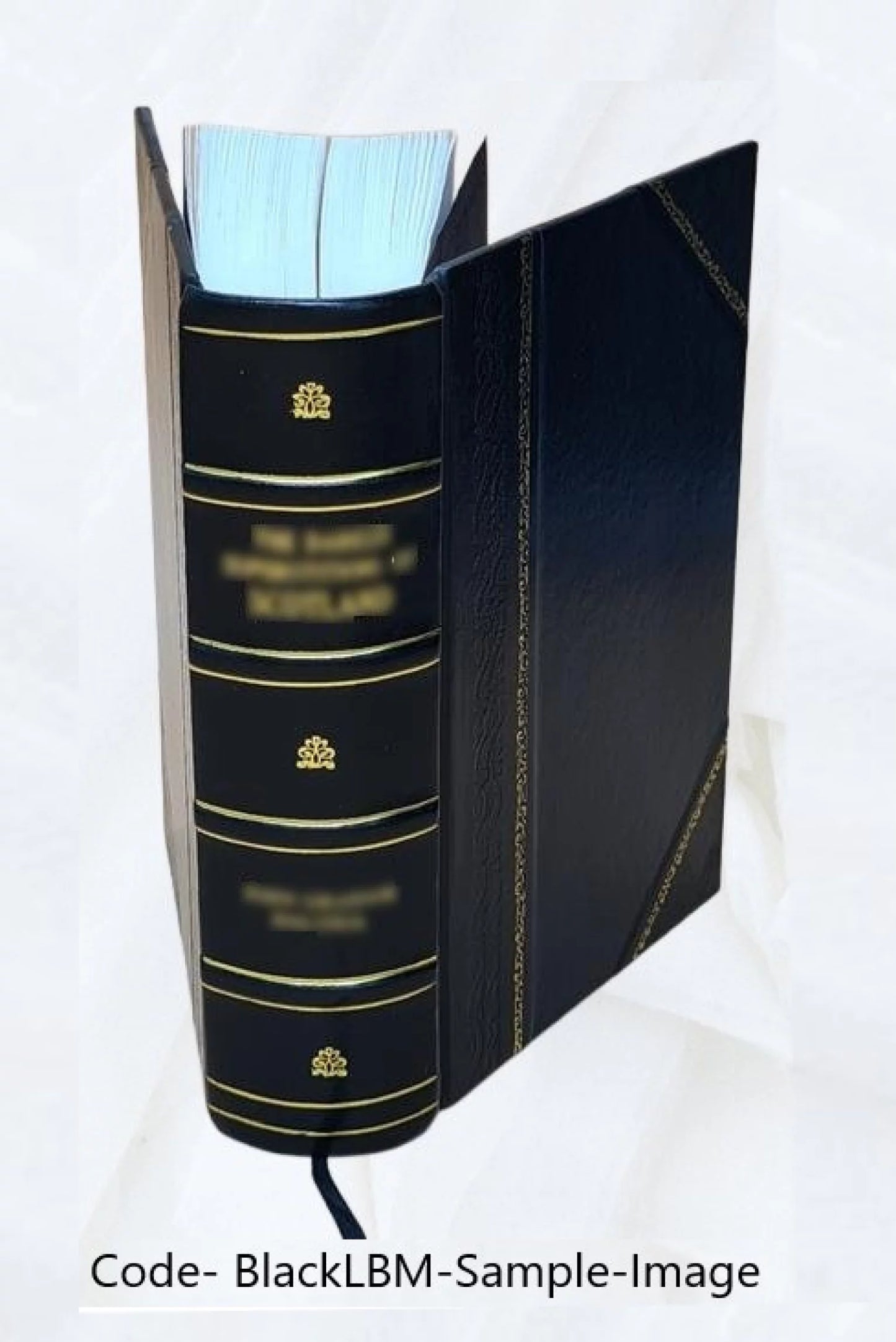 Clevenger's New York practice, being Civil Practice Act, rules of civil practice, Surrogate's Court Act, New York City Court Act, New York City Municipal Court code, Justice Court Act and Court of Cla