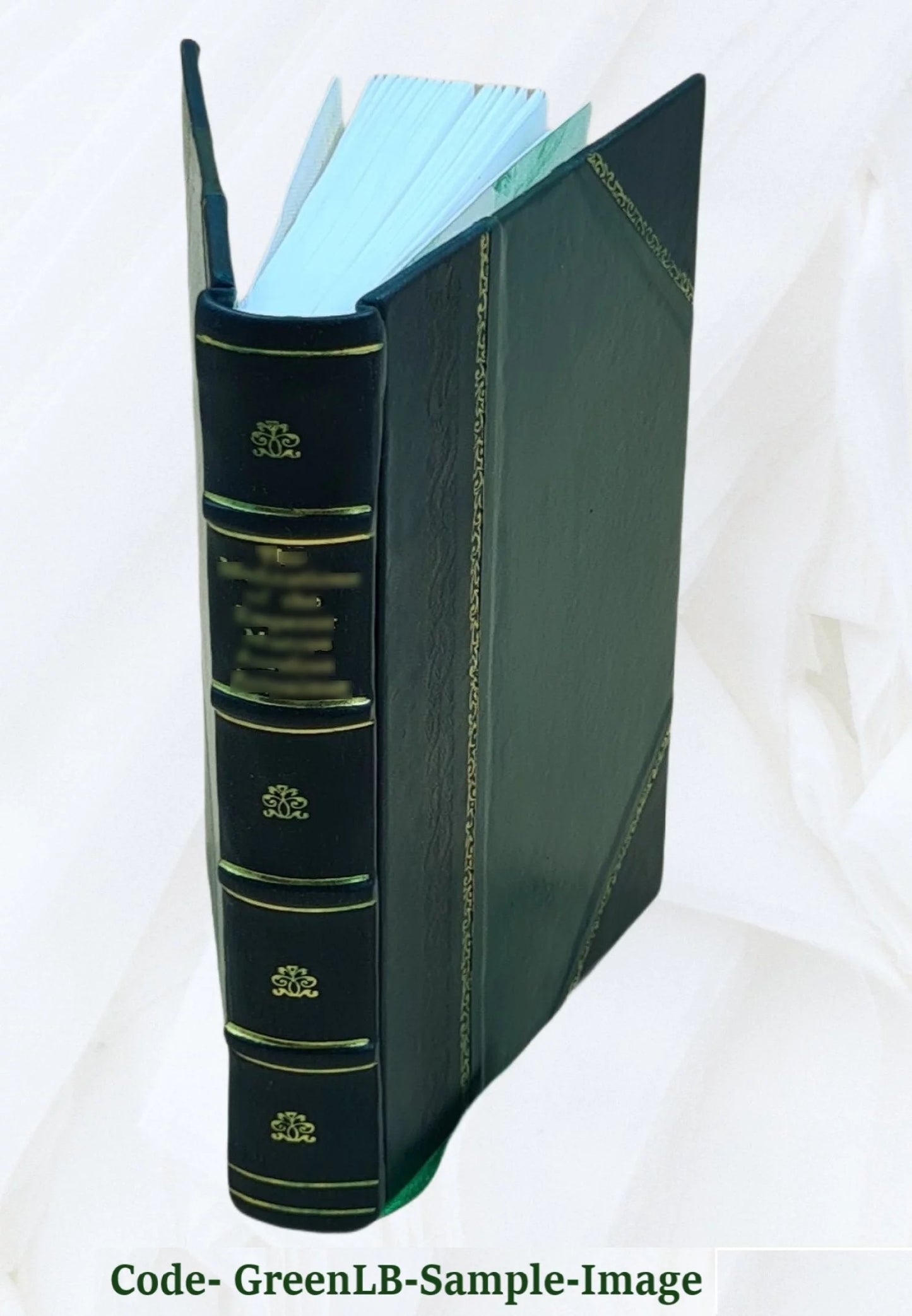 School feeding; its history and practice at home and abroad, by Louise Stevens Bryant ... with an introduction by P. P. Claxton ... 16 full-page illustrations and 6 charts in text. 1913 [Leather Bound