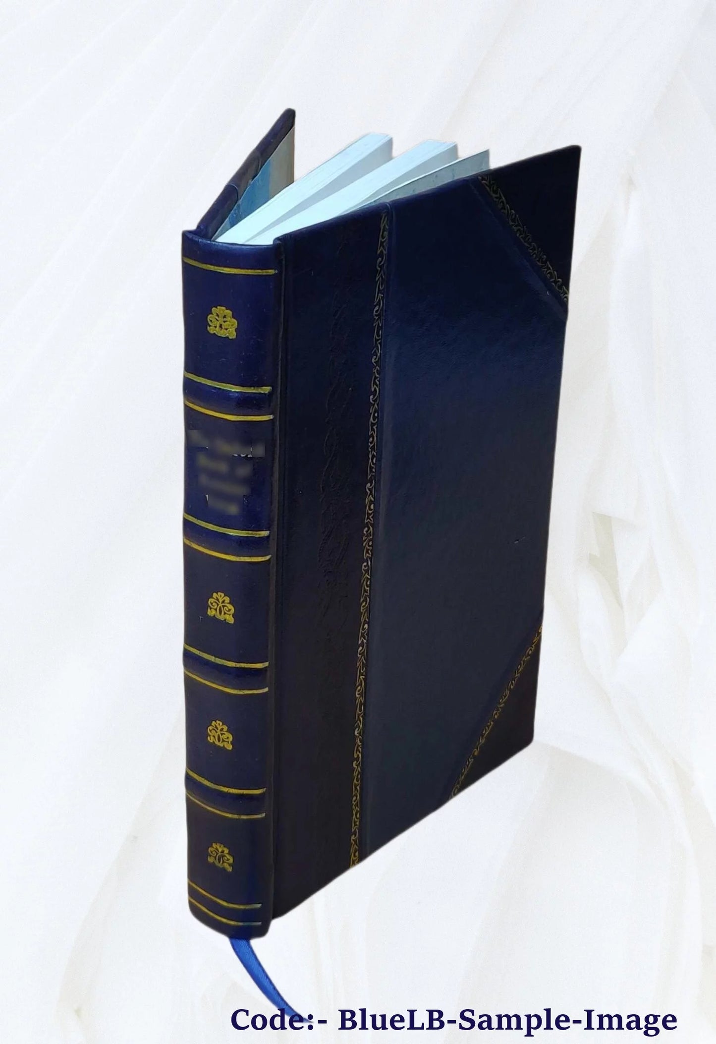 School feeding; its history and practice at home and abroad, by Louise Stevens Bryant ... with an introduction by P. P. Claxton ... 16 full-page illustrations and 6 charts in text. 1913 [Leather Bound