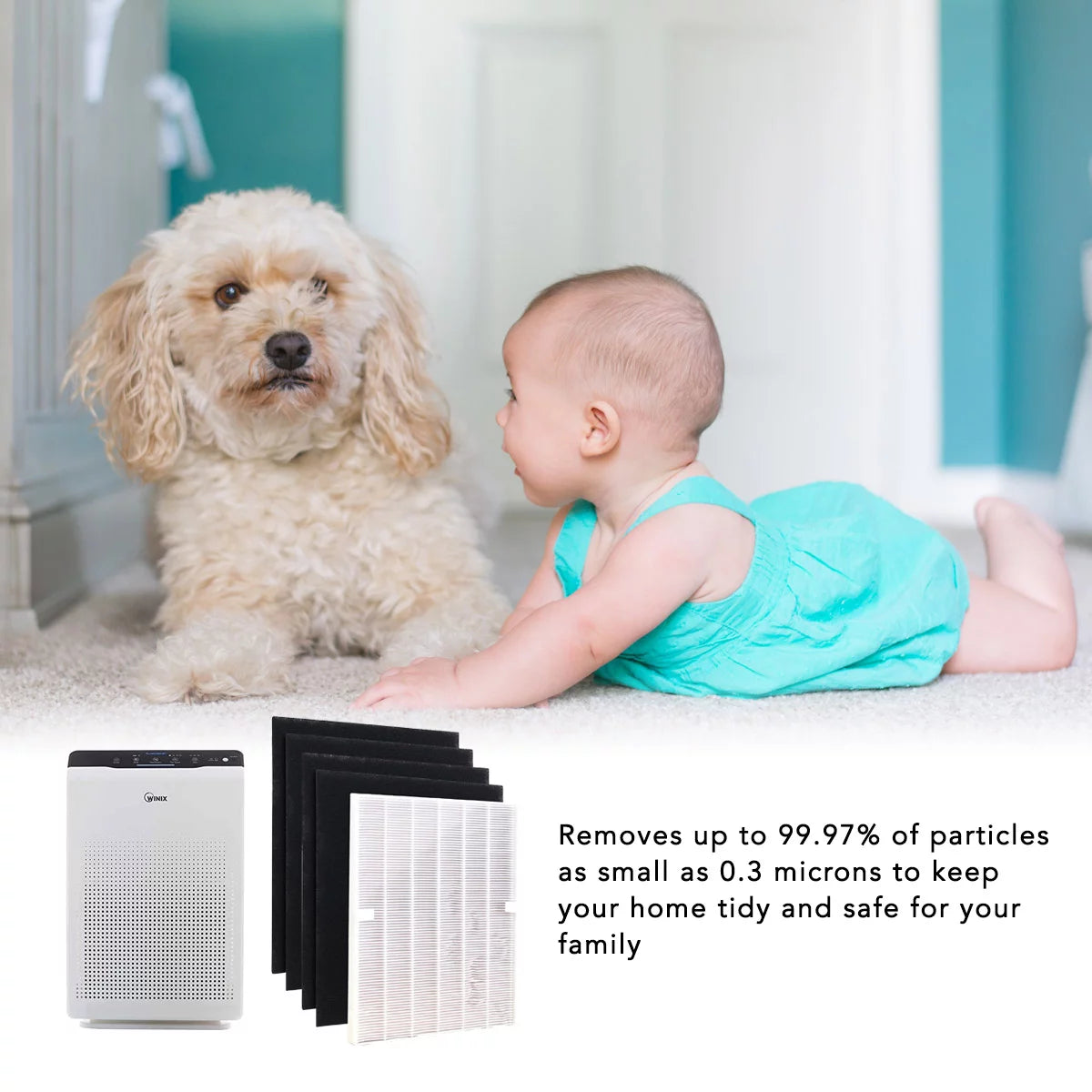 HEPA Filter Winix 115115 Replacement Filter A C535, 5300-2, 6300-2,P300, 5300 and 5500 (2 Set)