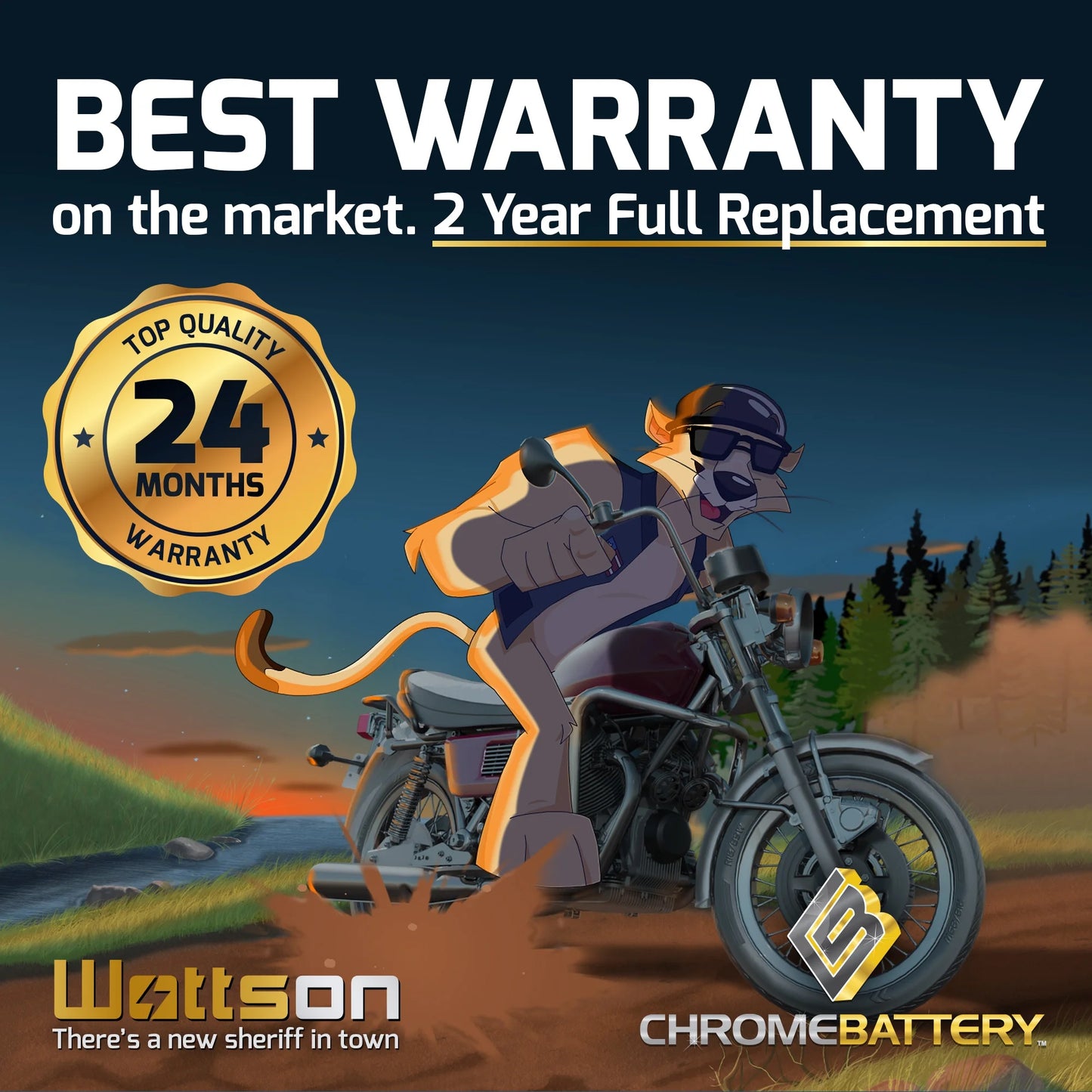Zipp Battery YTX16L-BS (16L-BS 12 Volt,14 Ah, 230 CCA) Jet Ski Battery Kawasaki 650cc Jf650 X2 1991