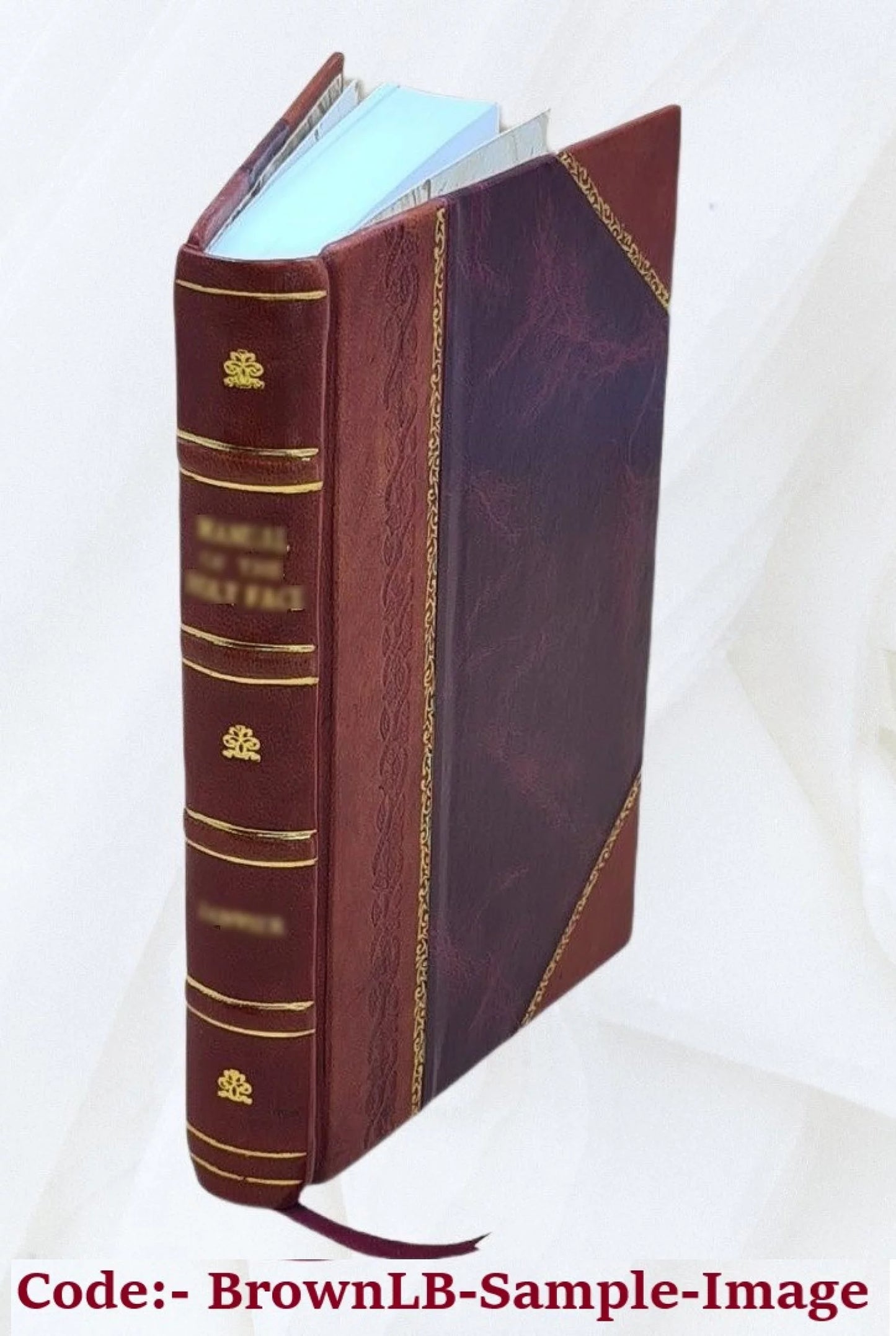 School feeding; its history and practice at home and abroad, by Louise Stevens Bryant ... with an introduction by P. P. Claxton ... 16 full-page illustrations and 6 charts in text. 1913 [Leather Bound