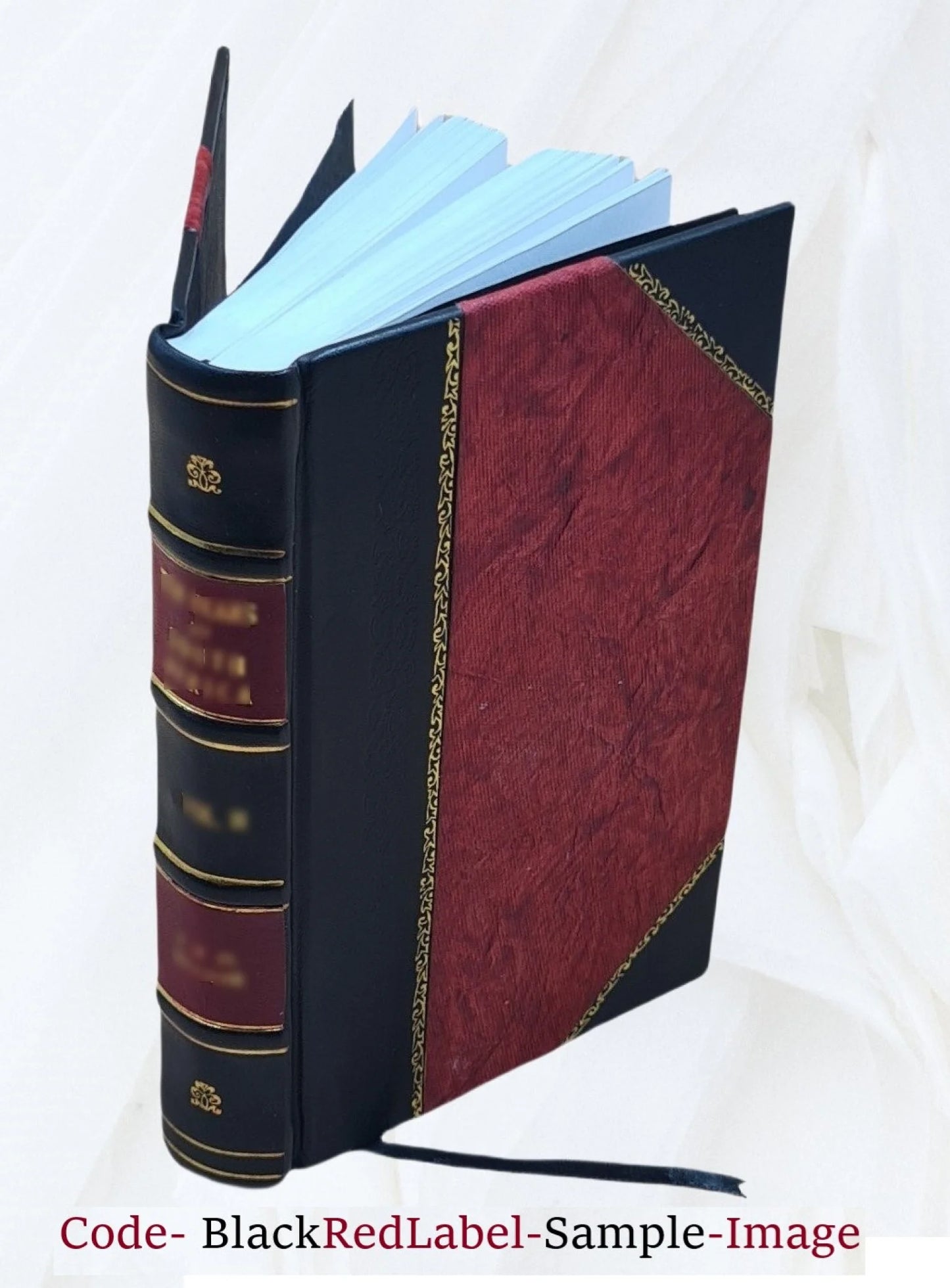 School feeding; its history and practice at home and abroad, by Louise Stevens Bryant ... with an introduction by P. P. Claxton ... 16 full-page illustrations and 6 charts in text. 1913 [Leather Bound