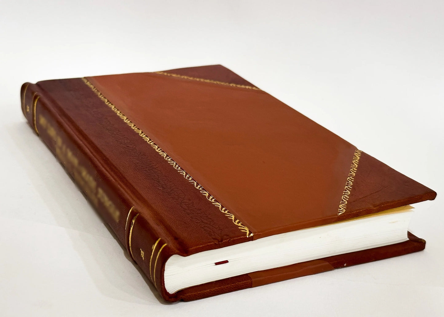 Yas Record Series Vol. 16: Yorkshire Lay Subsidy, Being a Ninth Collected in 25 Edward I, 1297 / William Brown (Ed) (1894) [Leather Bound]