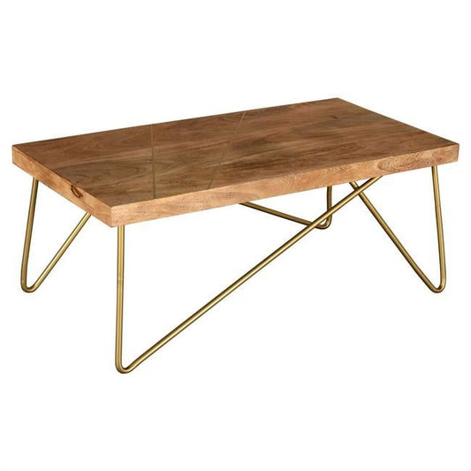 44 x 22 x 18 in. Madox Coffee Table in Natural & Aged Gold