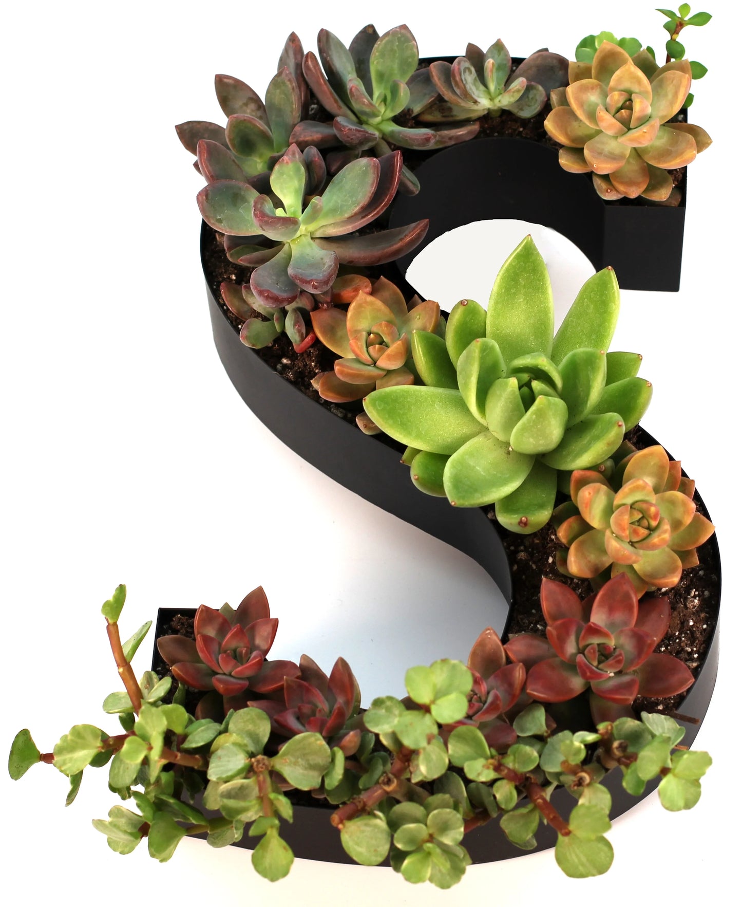 Wine Cork Holder Makes Excellent Wine Accessories Perfect Monogrammed Gifts Women to Store Wine Corks. Wine Decor or Wine Cork Holder Decor Will Brighten Up Kitchen! (Letter M)